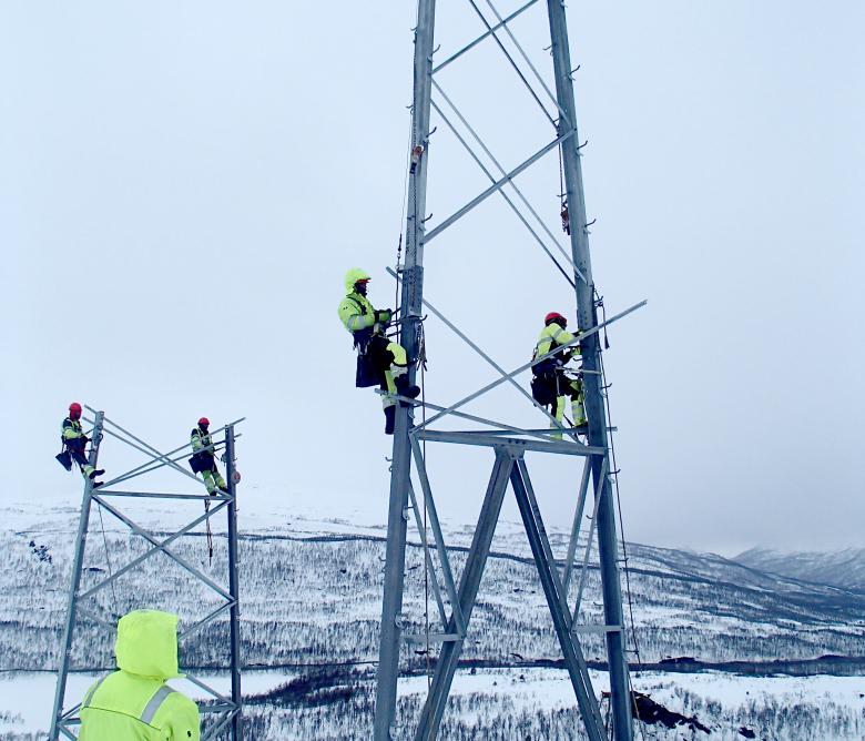 Selt-Linee-Norvegia-Centrale-1